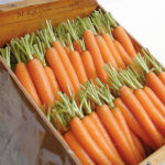 Carrots 5g