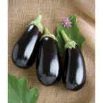 Eggplant - 1Kg
