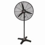 Standing Fan